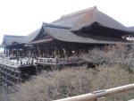IMG_0641