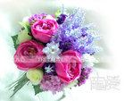 DSCN2374