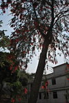 CSC_5160