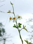 DSCF1054