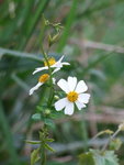 DSCF1058
