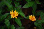 DSC_1940