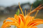 aDSC_6057