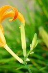 aDSC_6060