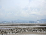 DSC_0007ps