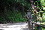 DSC_0088_01ps