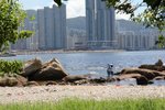 IMG_6372