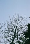 F3220006