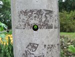 DSCF3378
