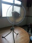 DSCF3381