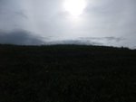 DSCF3414
