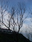 DSCF3498