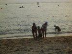 IMGP8542