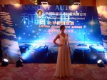 中國和諧汽車晚宴