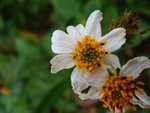 DSC00302