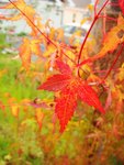 DSC08857