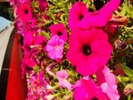 DSC08982