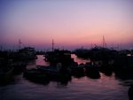 DSC00206