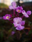 DSC00059