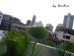 登天隧道