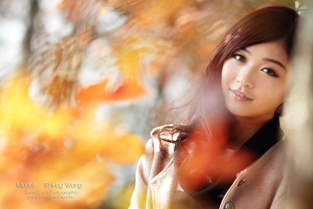 红叶之约 shirley wong