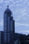 2009 - 05 -30 007