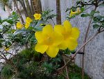 DSCF2360