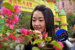 DSC-0007