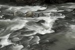 DSCF3581
