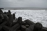 DSCF3648