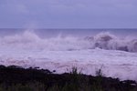 DSCF4402