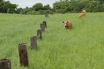 DSCF4607