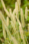DSCF4671
