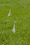 DSCF4676
