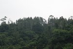 DSC_0205