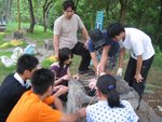 skill (14)