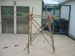 skill (41)