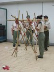 skill (49)