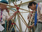 skill (51)