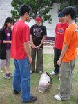 skill (53)