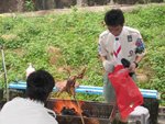 skill06 (62)