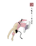 王澄可