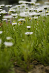 _DSC0923