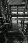 IMG_0022