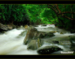 DS4_0480s
