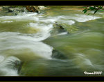 DS4_0548s