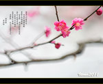 D3D_0060s