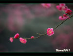 D3D_0072s