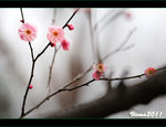 D3D_0228s