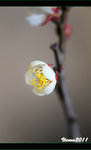 D3D_0334s